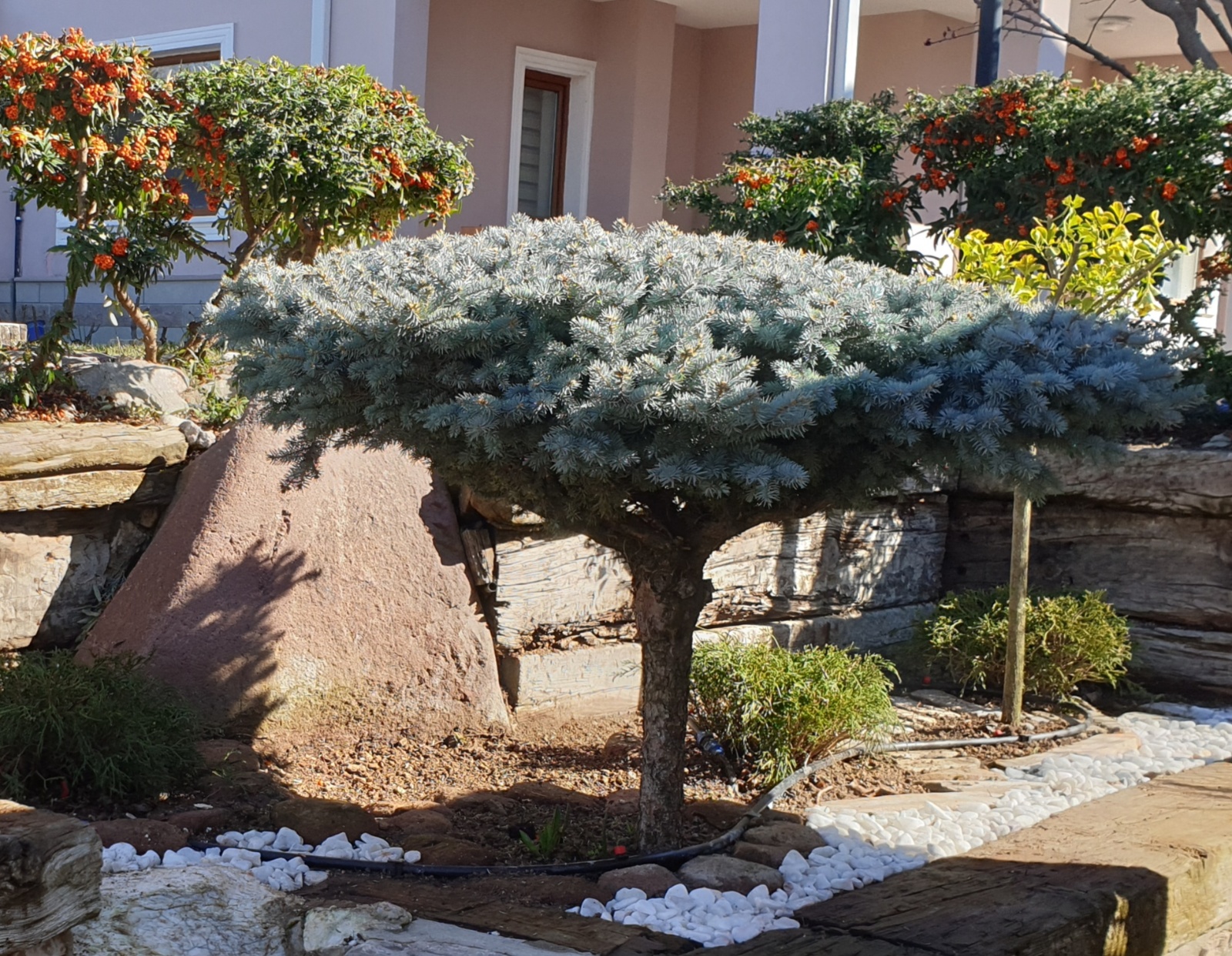 UYGULAMAMIZDAN - BUDAMA