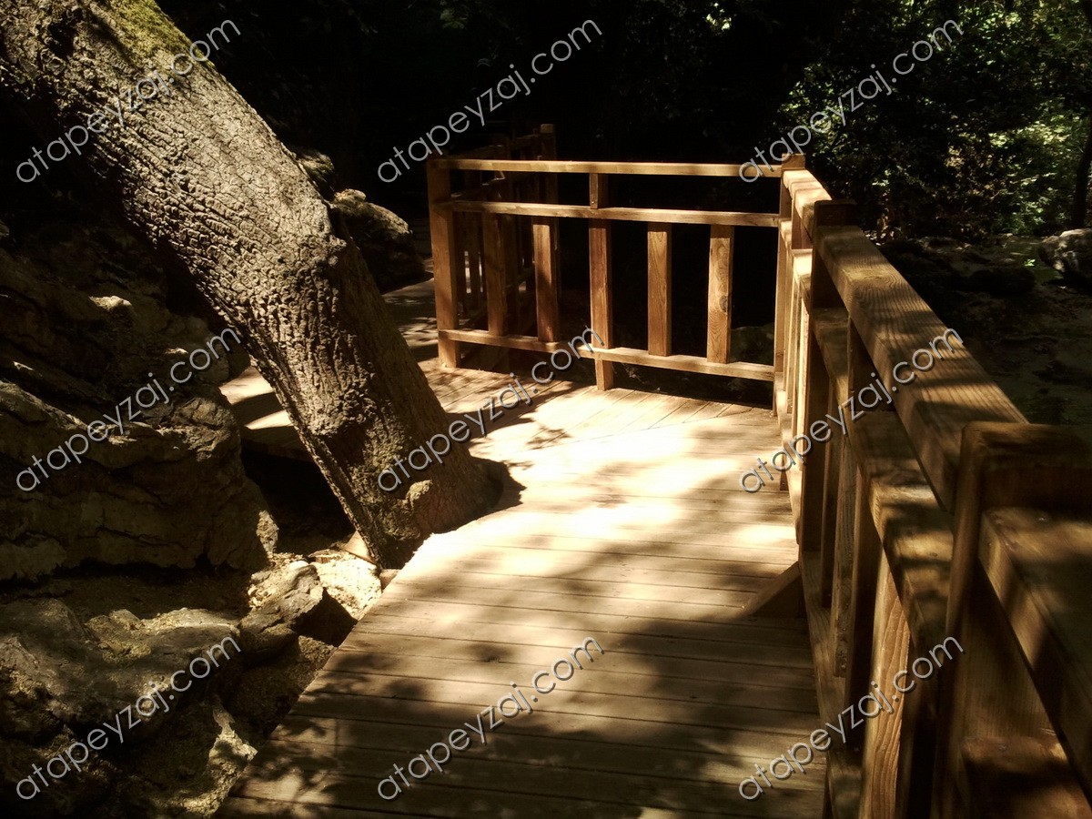 AHŞAP YÜRÜYÜŞ YOLU