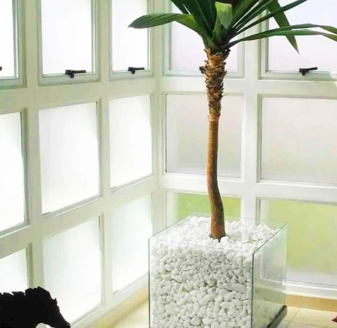 DOLOMİT TAŞI UYUGULAMA