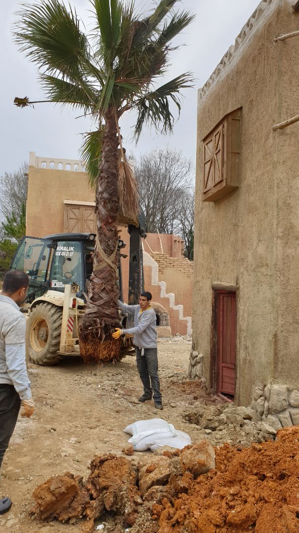 BÜYÜK SELCUKLU DİZİSİ SARAY DÜZENLEMESİNDEN