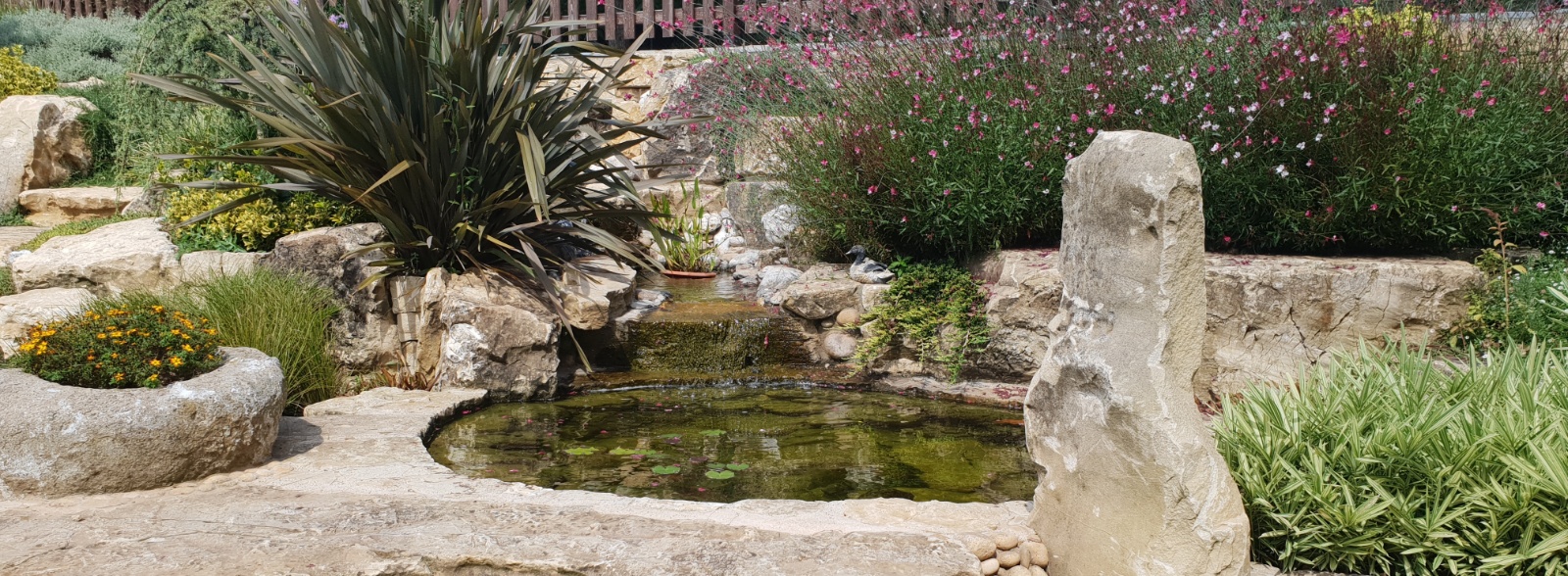 BİOLOJİK HAVUZ İŞİMİZ