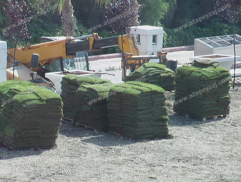 Merit Crystal Cove_hazır çim uygulaması