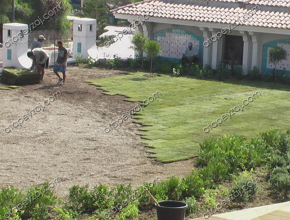 Merit Crystal Cove_hazır çim uygulaması